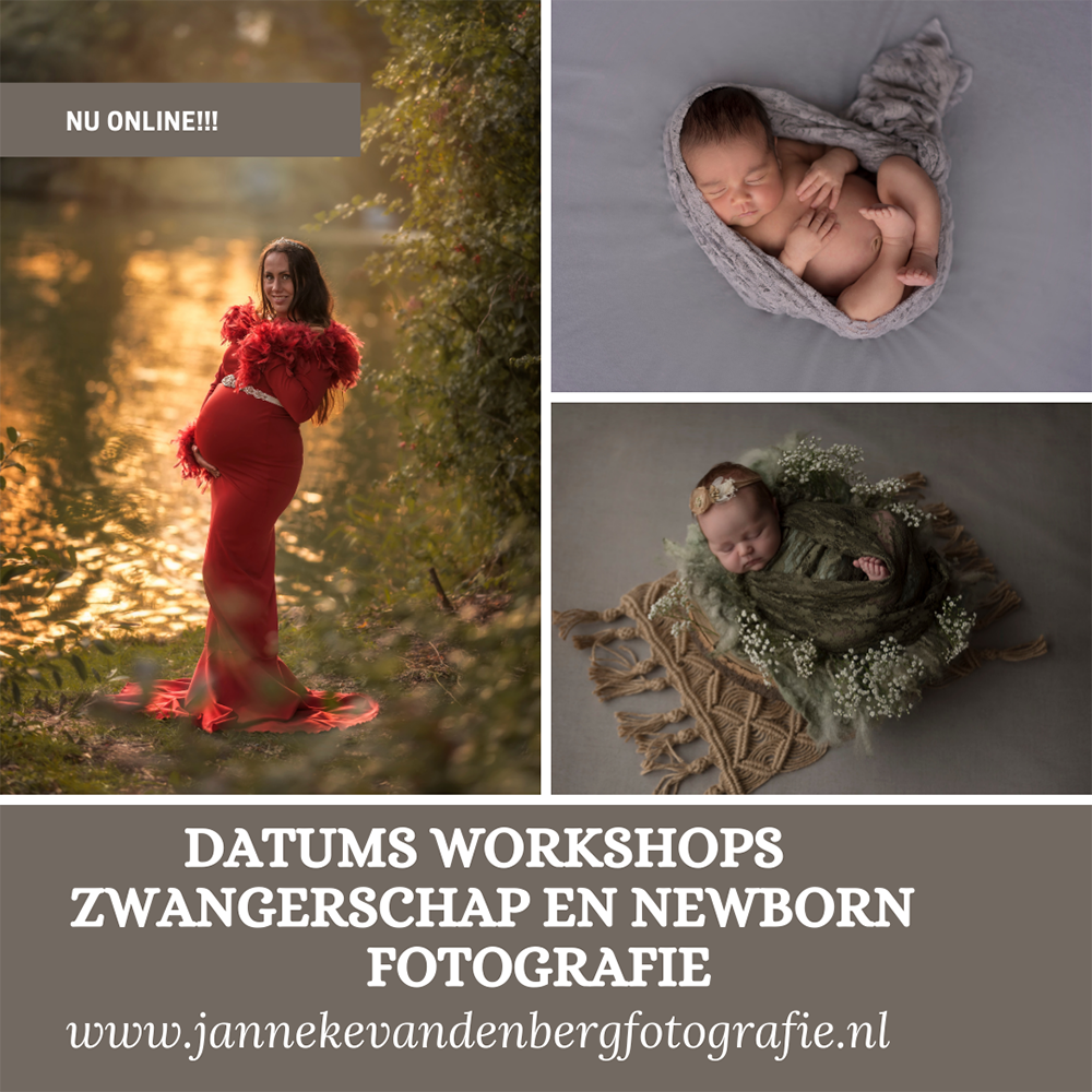 workshop zwangerschapsfotografie workshop newborn fotografie