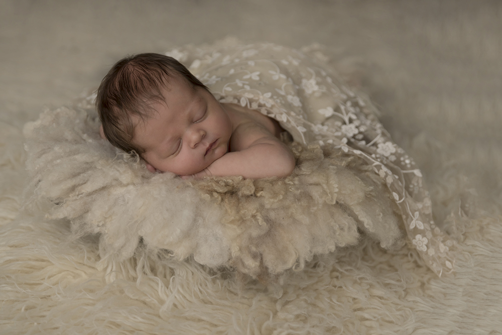 newborn fotograaf flevoland