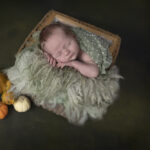 Newborn fotoshoot geposeerd 30 janneke van den berg fotografie newbornshoot flevoland friesland lelystad