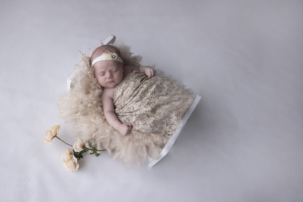 opleidg newborn fotografie individueel