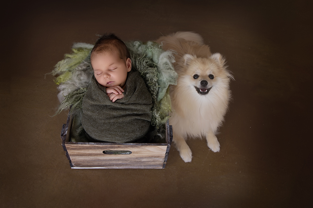 newborn fotograaf flevoland Urk dronten