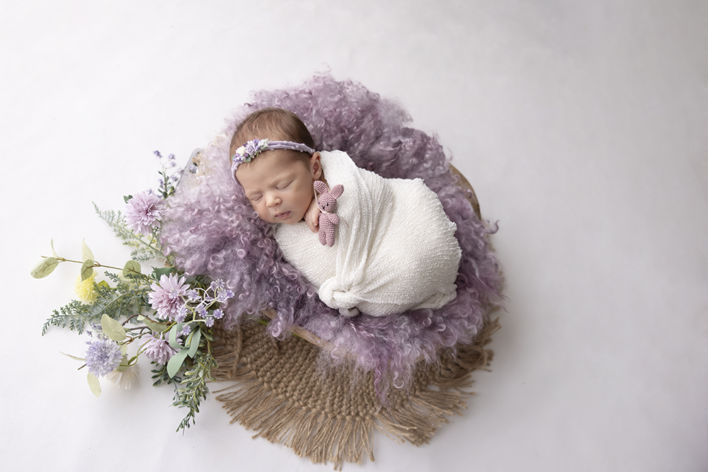 newbornshoot flevoland