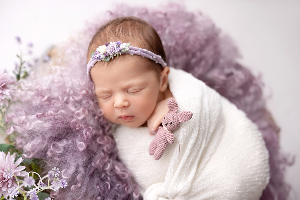 Fotoshoot met album 2 fotoshoot met album flevoland